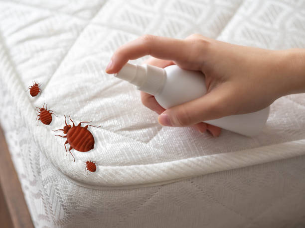 Best Residential Pest Control  in Merryville, LA